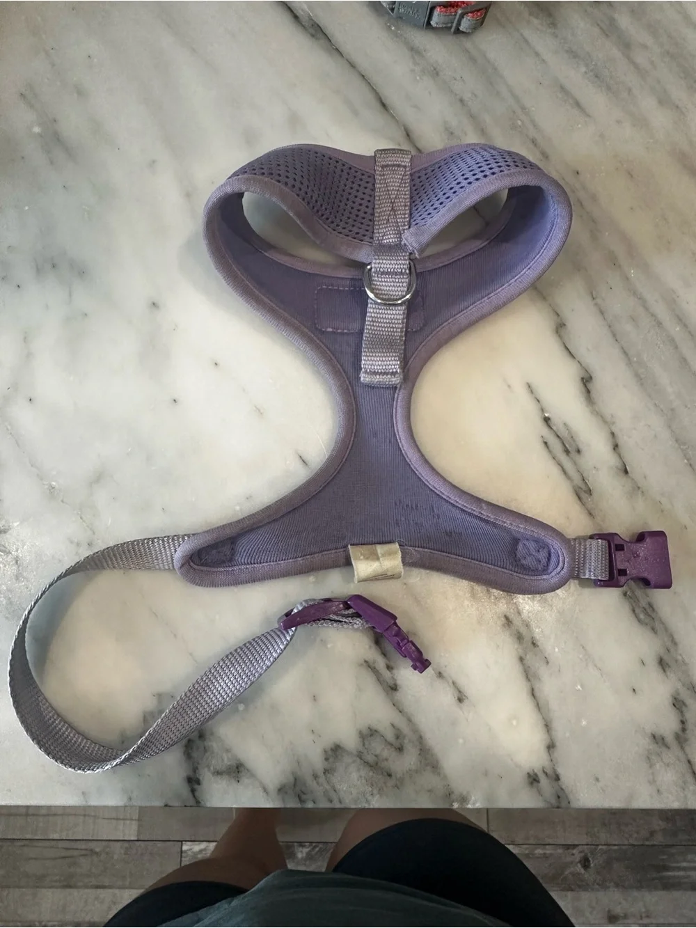 💥 (10 for $10) Purple Mesh Dog Harness by The Dog Walker Company